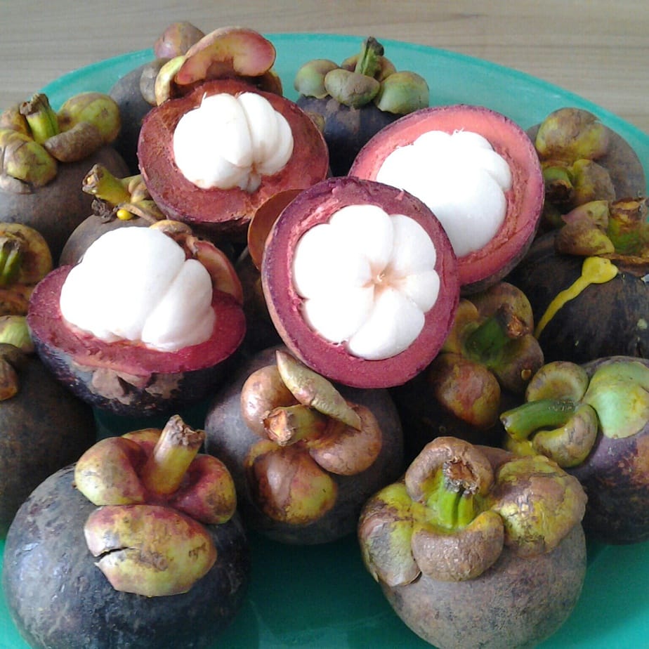 Mangosteens