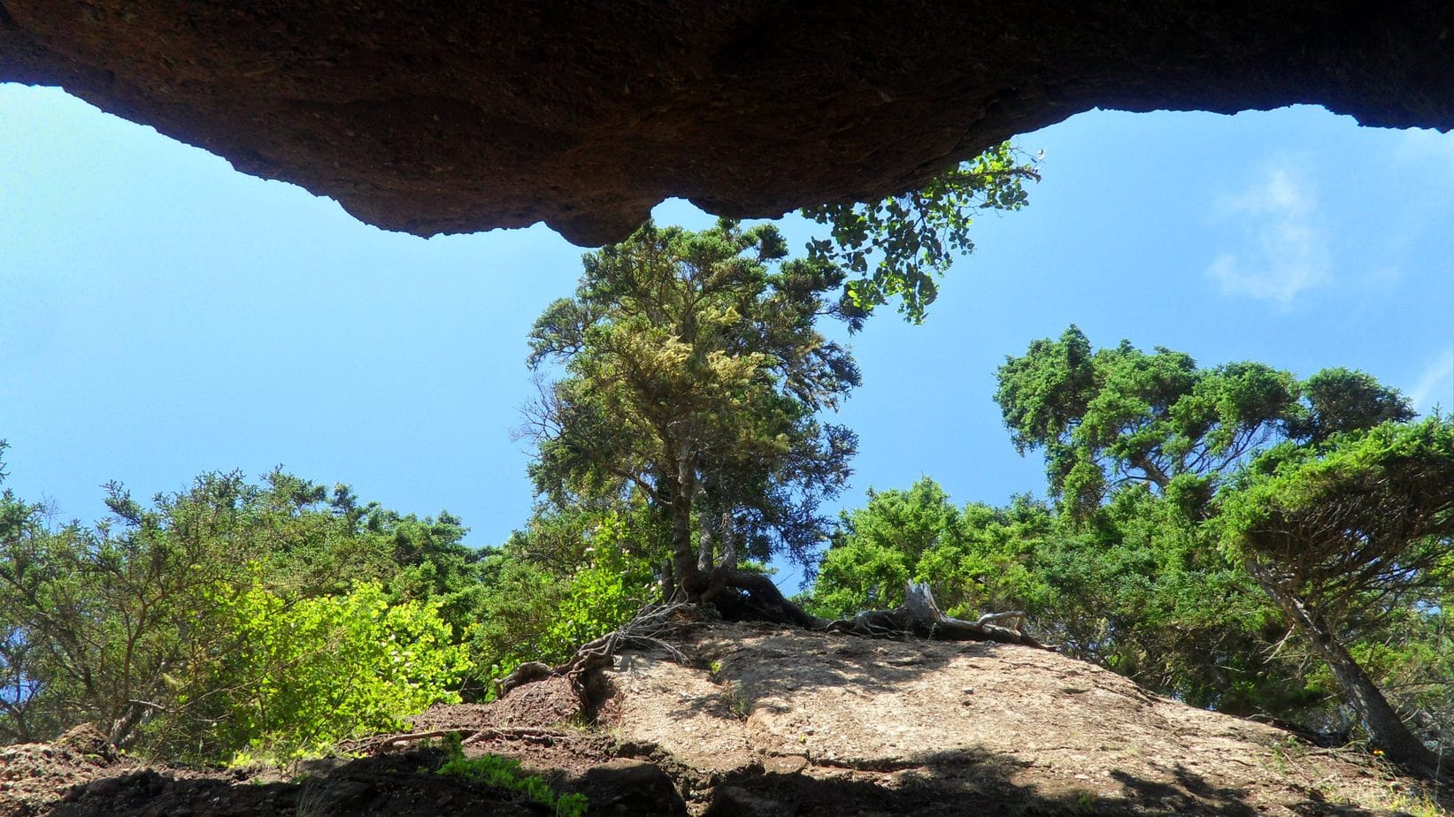 Perpendicular